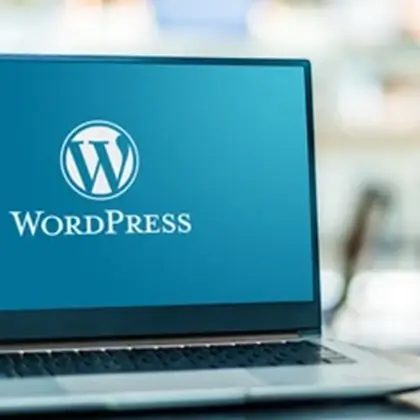Wordpress-Web-Design-sydney