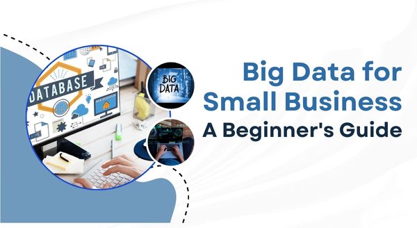 Big Data for Small Business: A Beginner's Guide